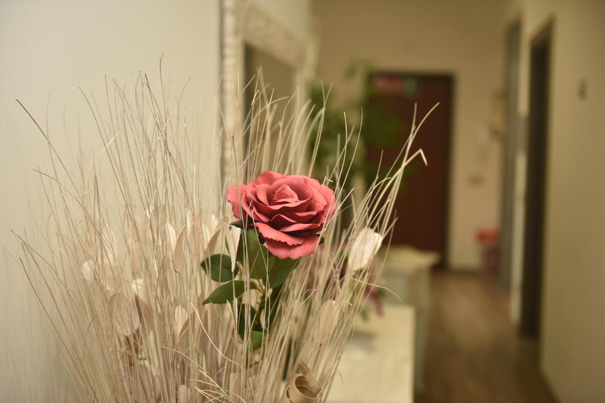 In Terrazza Da Giusy Bed & Breakfast Рим Екстериор снимка