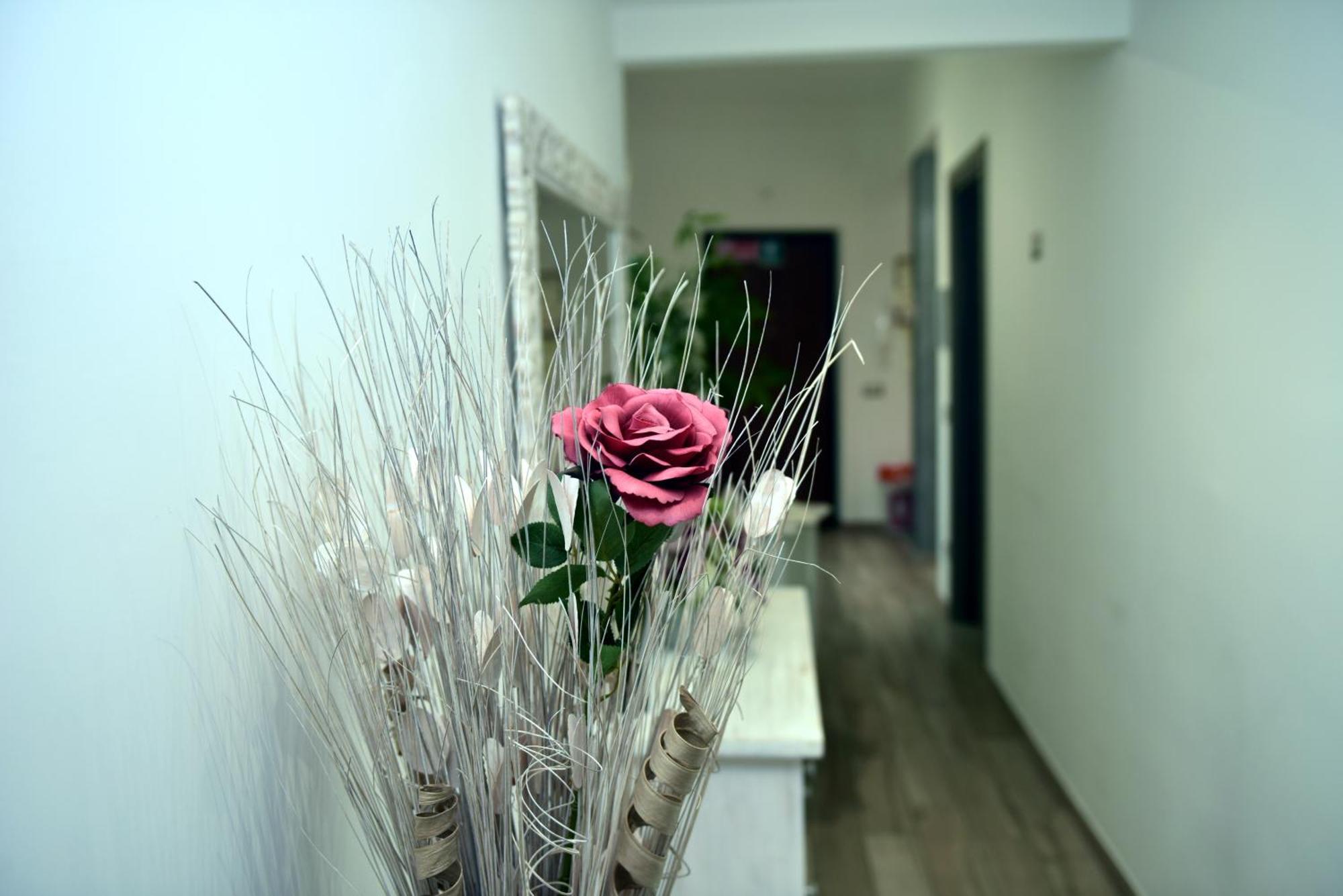 In Terrazza Da Giusy Bed & Breakfast Рим Екстериор снимка